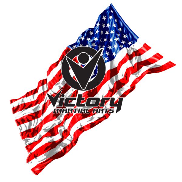 US Wavy Flag Angled Victory logo Thumbnail